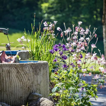 Hotel- Oechsner Hotel *