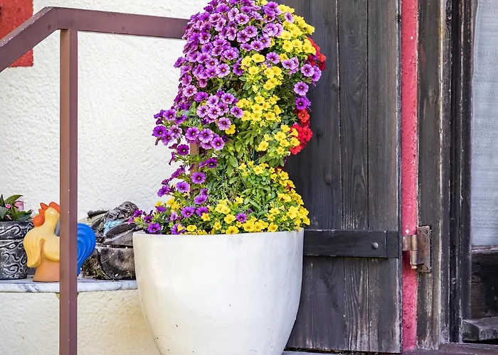 Hotel- Oechsner Hotel Bad Reichenhall