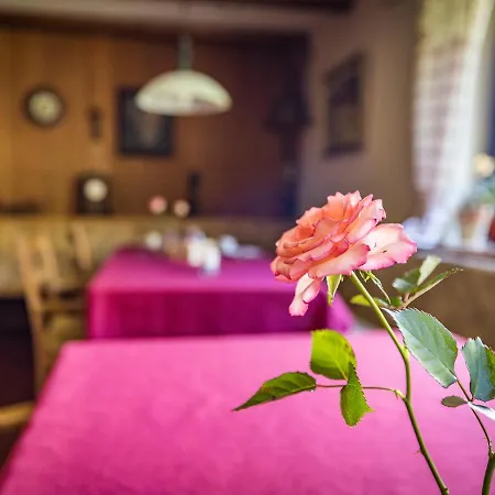 Hotel- Oechsner * Bad Reichenhall