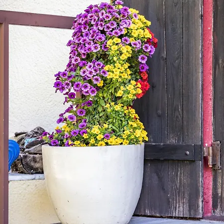 Hotel- Oechsner Hotel Bad Reichenhall