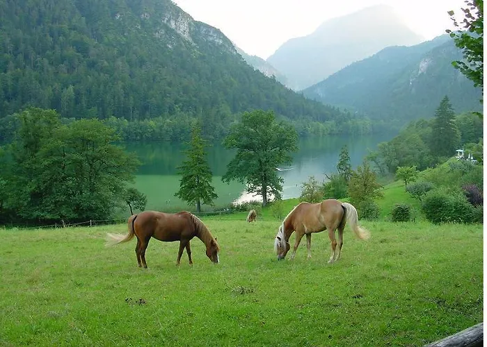 Hotel- Oechsner * Bad Reichenhall