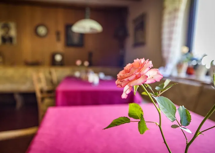 Hotel- Oechsner * Bad Reichenhall